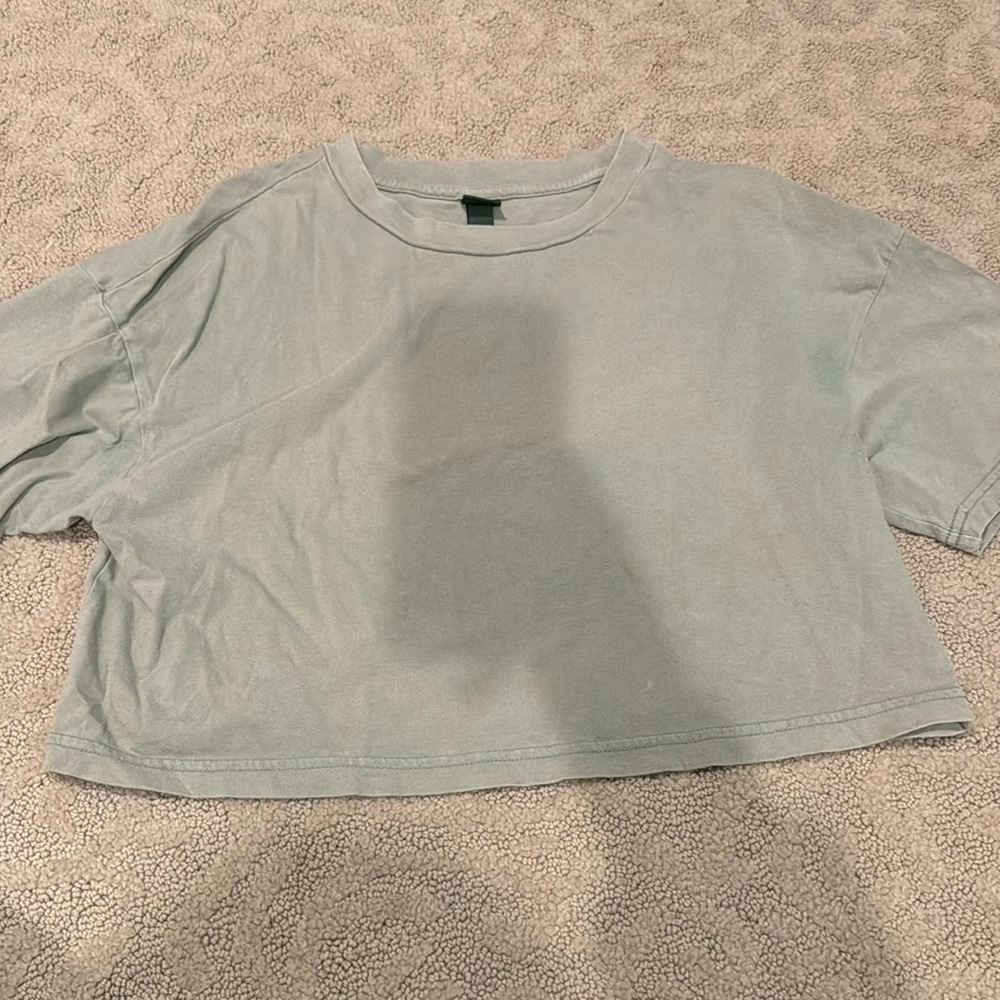 Light green wild fable cropped tee